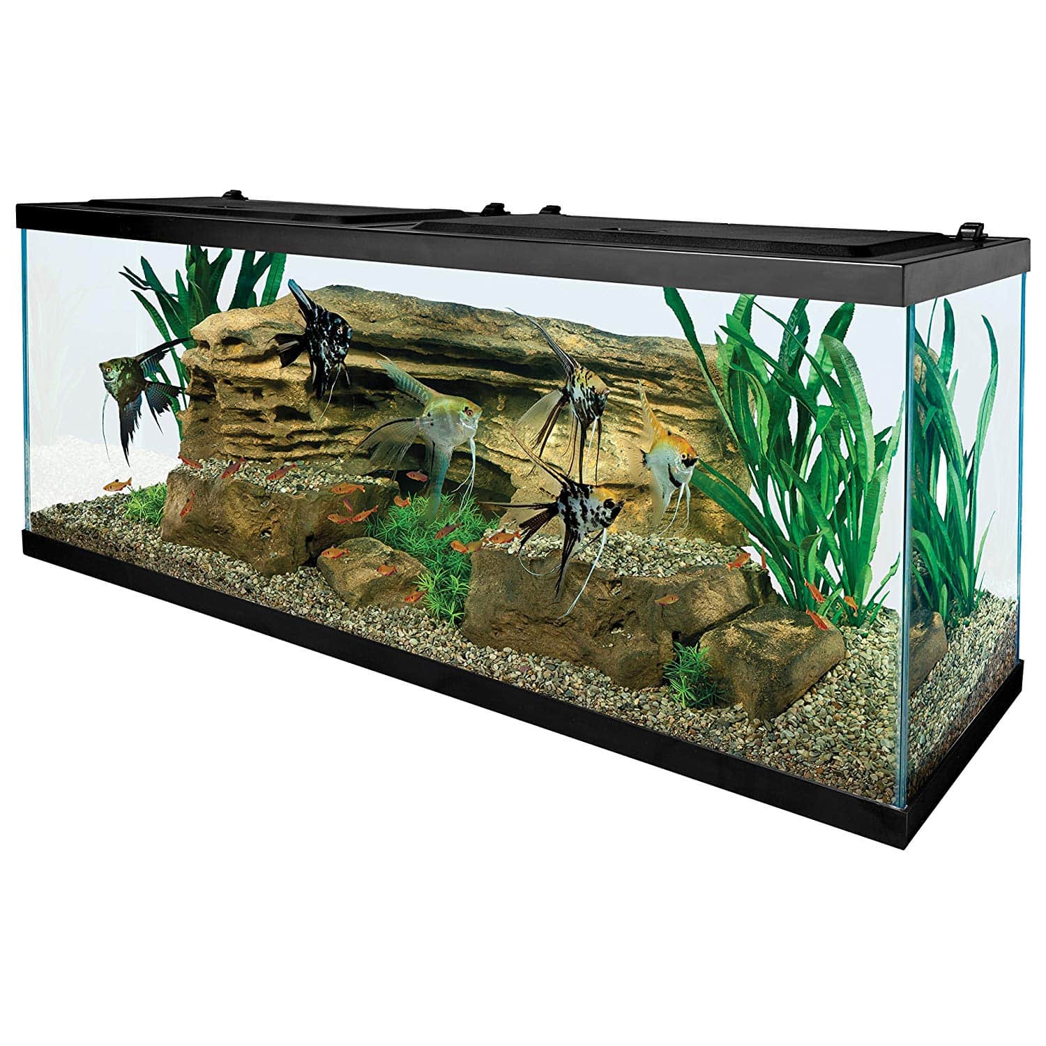 black light fish tank walmart