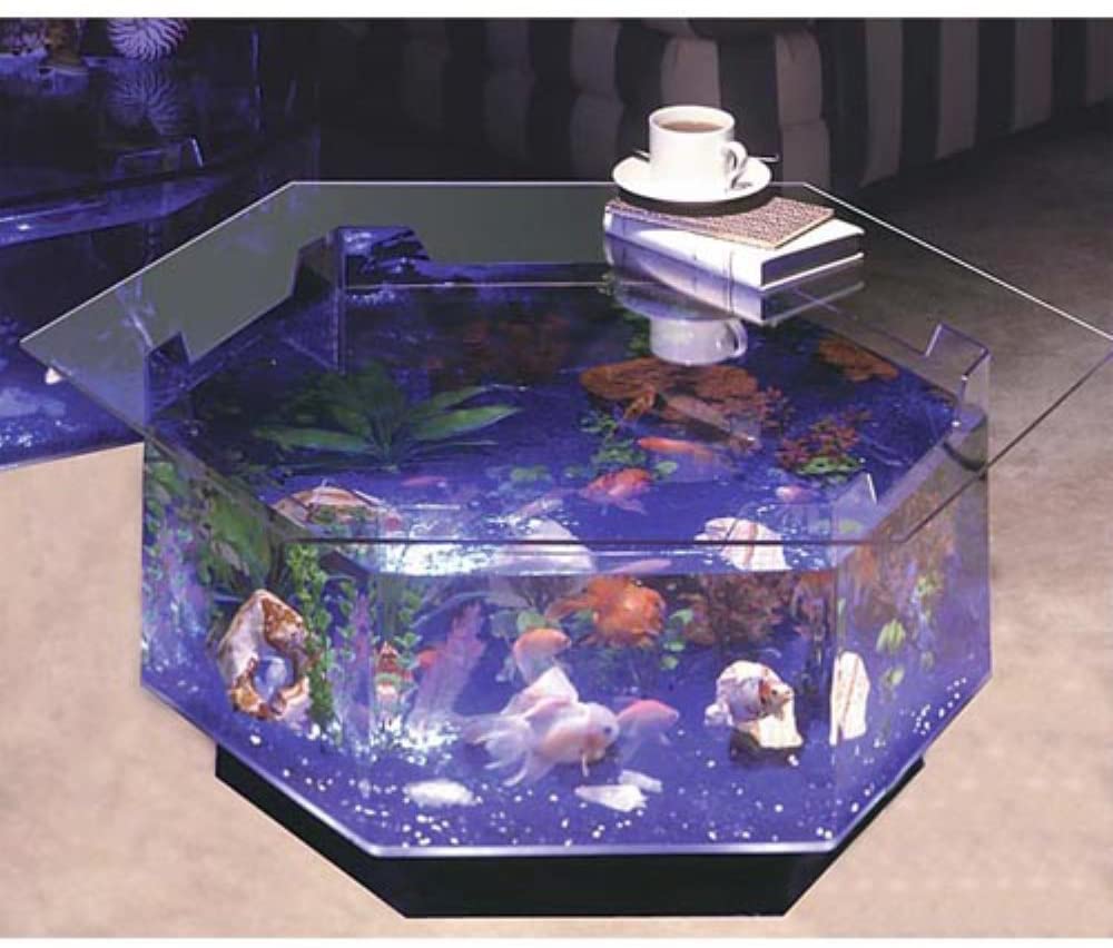 Fish Tank Coffee Table Reviews in 2020 A Little Bit Fishy